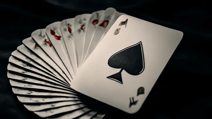 A Vast Collection of Casino Games A Vast Collection of Casino Games